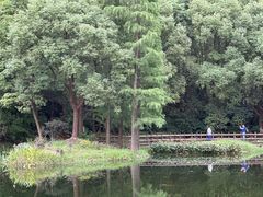 -上海滨江森林公园
