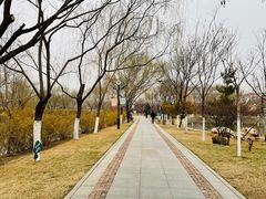-南翠屏公园