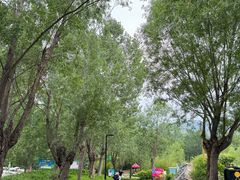 -西部长青自然儿童乐园