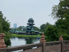 -桂湖森林公园