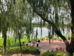 -大兴滨河森林公园