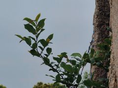 -韩湘水博园