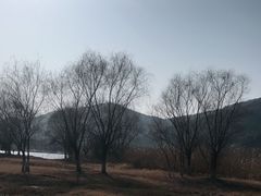 -长广溪湿地公园