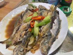 -陈岱后山窑鸡店