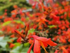 -上海市惠民中学