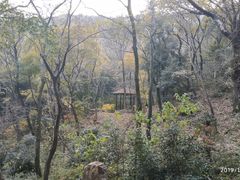 -穹窿山景区