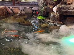 -鱼满舱·鲜活海鲜·正宗鲁菜