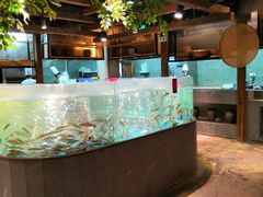 水产区-丹江渔村(首都机场店)