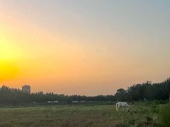 -汉长安城未央宫国家考古遗址公园