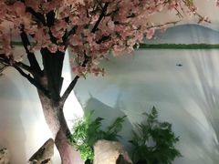 -绿茶餐厅(昌平悦荟店)