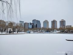 -团结湖公园