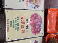 -马陆小张葡萄园农家乐