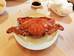-鹏天阁酒楼·海鲜(红旗店)