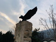 -北京鹫峰国家森林公园