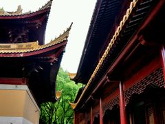 -亭林园-华藏寺