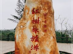 -东寨港红树林旅游区