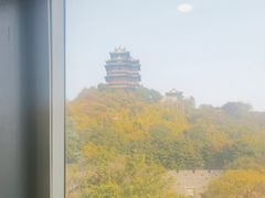 -七欣天香辣蟹火锅(南京建宁路大观天地店)