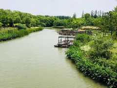 -上海长兴岛郊野公园