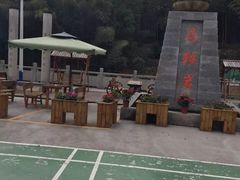 -泽雅景区
