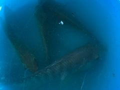 钓鱼-侯臣咖啡文化村