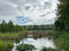 -黄海国家森林公园