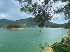 -广州市流溪河国家森林公园