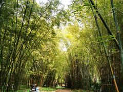 -晓港公园