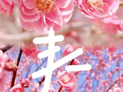 -莘庄公园