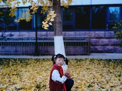 -北京市海淀外国语实验学校