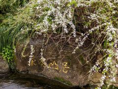 -中国茶叶博物馆(双峰馆区)