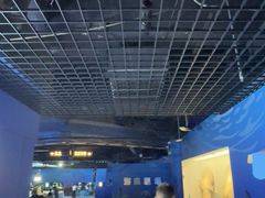 -重庆欢乐海底世界