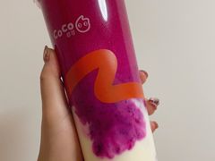-CoCo都可(岱山店)