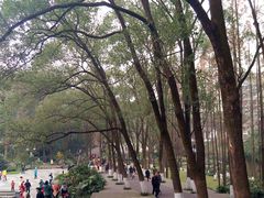 -忠山公园