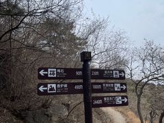 -香山公园