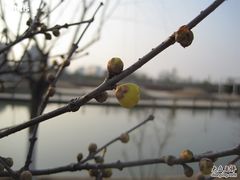 -白塘生态植物园