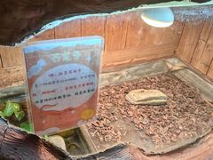 -上海大自然野生昆虫馆