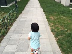 -廊坊固安福朋喜来登酒店