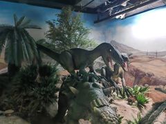 -国家自然博物馆