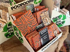 -大象粑粑造纸公园