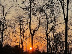 -上海海湾国家森林公园