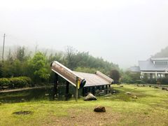 -蔡伦竹海