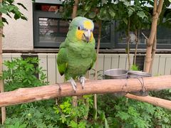 -南宫五洲植物乐园