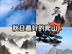 -缙云山景区