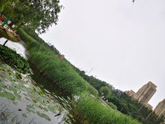 -前关湿地公园