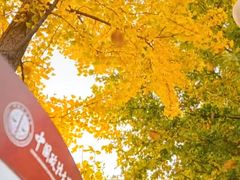 -中国政法大学(昌平校区)