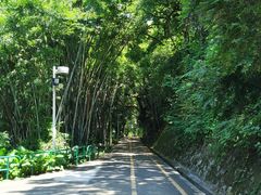 -中山公园(石岐街道)
