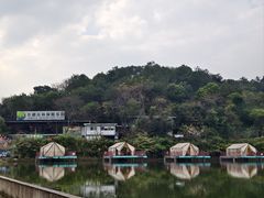 -芦仙山景区-飞越丛林探险乐园