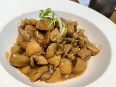 -靓蛙馆