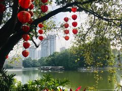 -荔湾湖公园