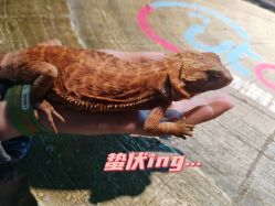 -酷嗒动物文化乐园(cutezoo西溪乐天城店)